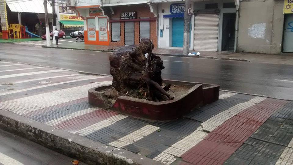 Avenida Getúlio Vargas - Centro Manaus/AM Crédito: Jean Okada
