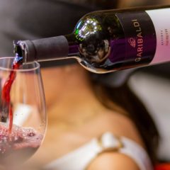 Wine Class: Iniciando no mundo dos vinhos